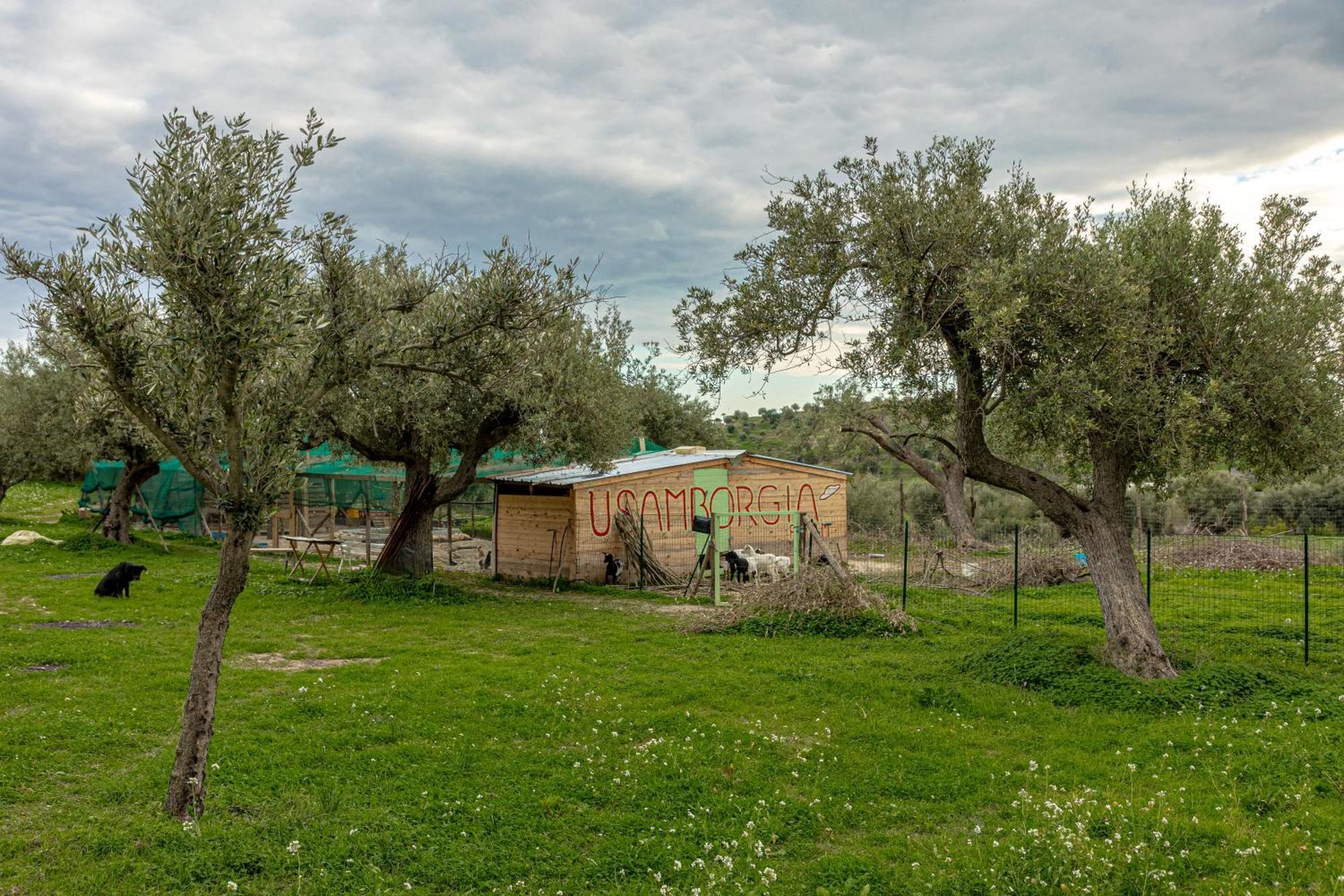 Гостьовий будинок Masseria Usamborgia Ното Екстер'єр фото